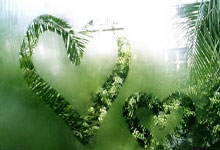 壹号娱乐体育：罗泽：多特周中踢了欧冠？我不认为这会对我们有利.